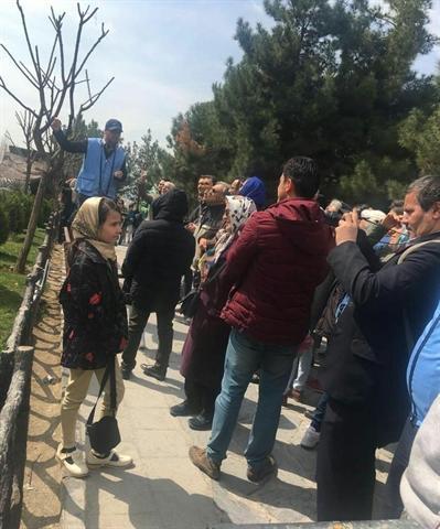 مسافران نوروزی با طرح پرسه در شهر زیبایی های تهران را می بینند