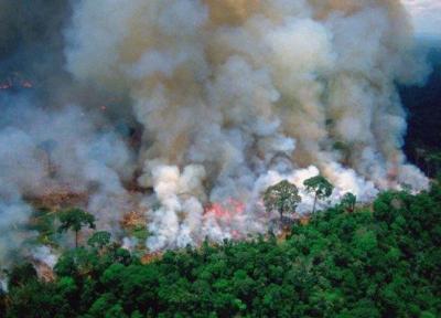 برزیل یاری جی7 برای اطفاء حریق جنگل های آمازون را رد کرد