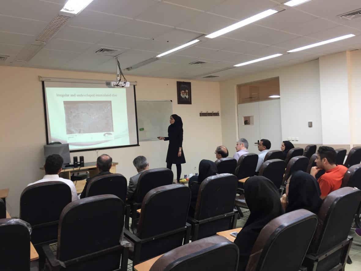ثبت نام دفاع 3 دقیقه ای پایان نامه هایی دانشجویی در دانشگاه ثبت نام دفاع 3 دقیقه ای سرانجام نامه هایی دانشجویی در دانشگاه های البرز آغاز شد