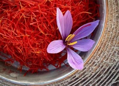 بخش خصوصی به تعهداتش در خرید تضمینی زعفران عمل نکرد