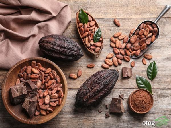 آنالیز تاریخچه معروف ترین برند های شکلات و قهوه در جهان