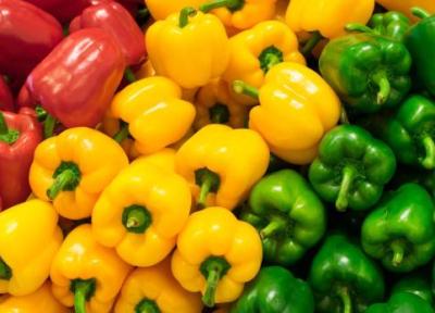 فلفل دلمه ای و اثرات خاصی که در پخت غذا دارد