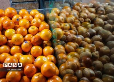 262 میدان و بازار میوه و تره بار برای ارائه خدمات در ماه رمضان آماده است