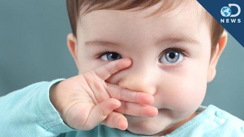 چرا رنگ مو و چشم ها تغییر می کند؟ چرا رنگ مو و چشم ها تغییر می کند؟