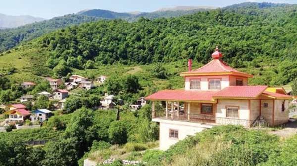 خواب جنگل خواران آشفته می شود خواب جنگل خواران آشفته می گردد