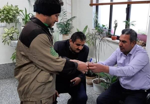 عکس ، این کارگر شهرداری تهران طلاهای چند میلیونی را به صاحبش عکس ، این کارگر شهرداری تهران طلاهای چند میلیونی را به صاحبش برگرداند