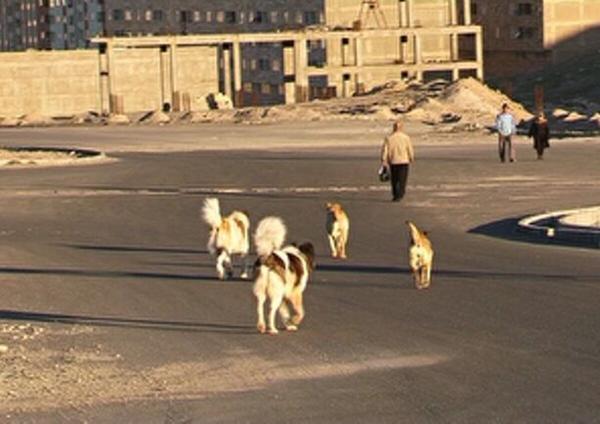 مرگ مبهم یک نوجوان در خراسان جنوبی مرگ مبهم یک نوجوان در خراسان جنوبی