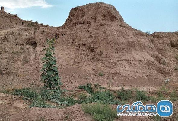 قلعه توزنده جان یکی از جاذبه های دیدنی استان خراسان رضوی قلعه توزنده جان یکی از جاذبه های دیدنی استان خراسان رضوی است