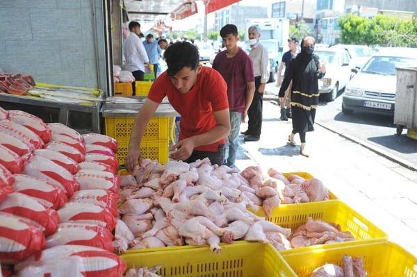 تغییرات یک ماهه قیمت مرغ ، هر کیلو مرغ گرم تازه در میادین چند شد؟